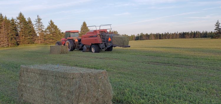hay baling machine making large square bales of hay in a field