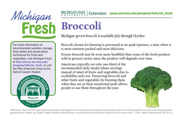 Graphic of broccoli Michigan facts.