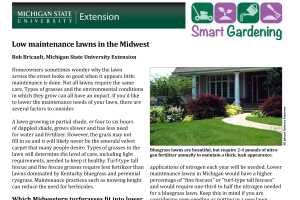 msu