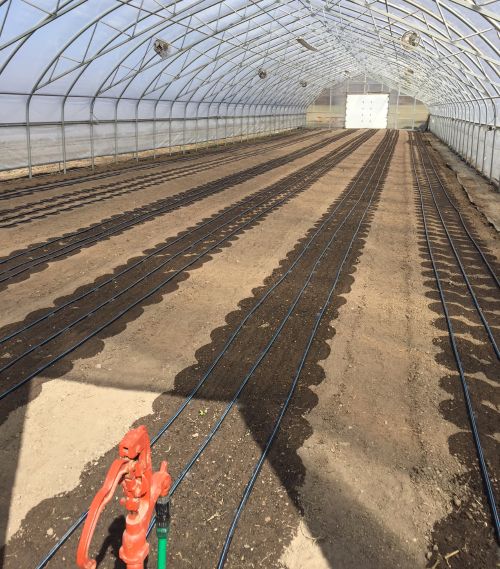 Newly seeded hoophouse at Drew Farms, Detroit Public Schools.