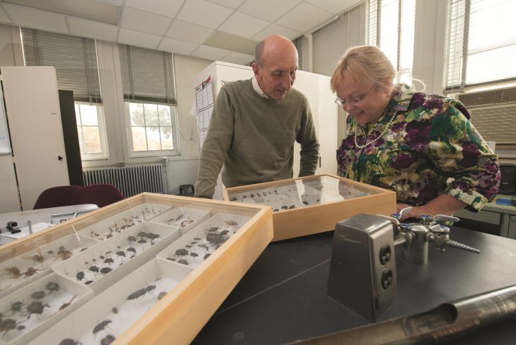 MSU's Dave Smitley and former mentee Maria Davis examine insect samples.