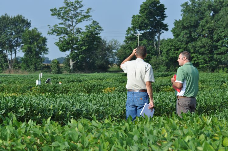 Farmers standing in a field talking