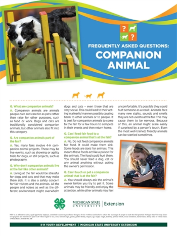 Companion animal poster with information and photo of dog.