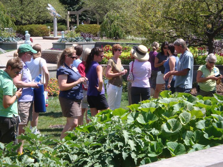 Wander through the gardens at the MSU Plant Trial Field Day.