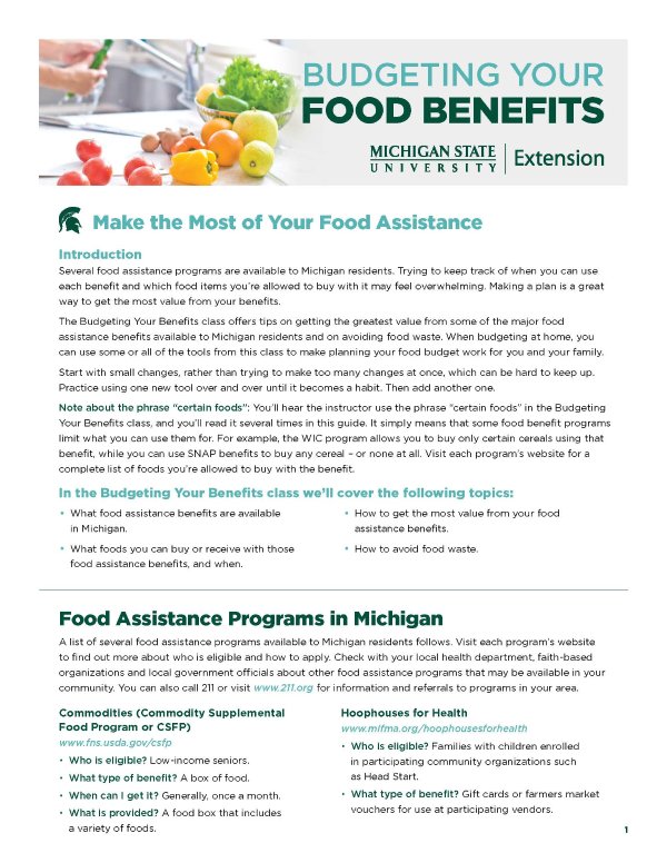 Front page of the Budgeting Your Food Benefits toolkit.