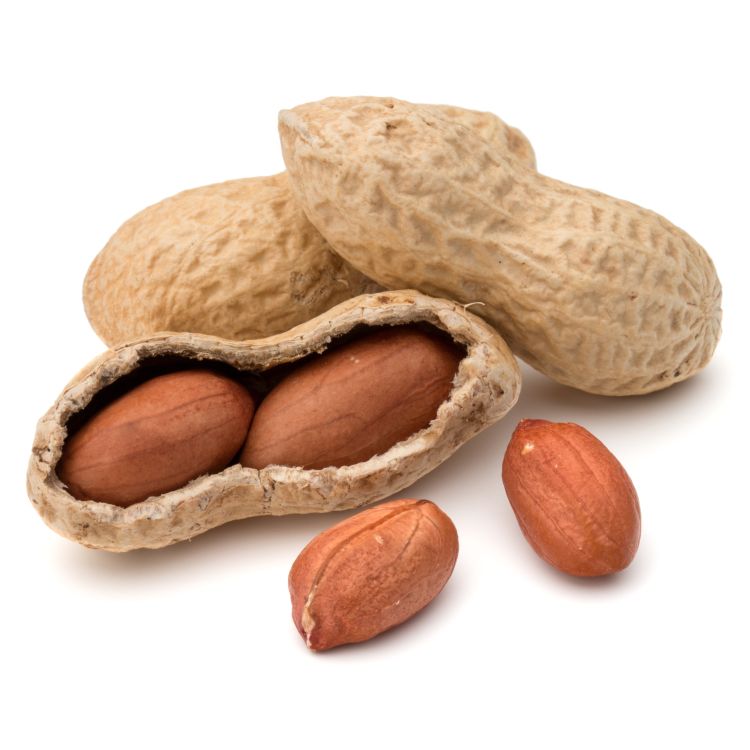 Peanuts in peanut shell.