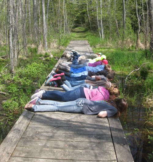 Youth exploring a wetland