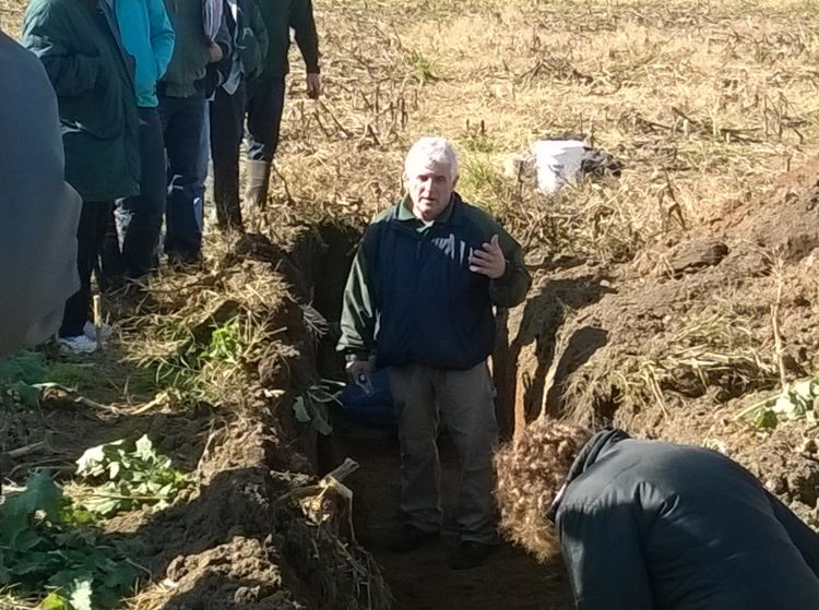 MSU Extension educator Paul Gross talks about healthy soil in a root pit at a recent event.