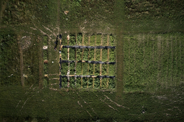 Drone view of urban soil management research plots