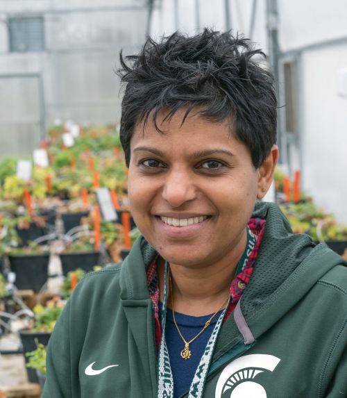 Cholani Weebadde is Michigan State University’s plant breeder for international programs.