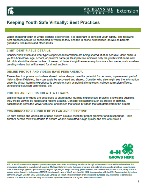 Thumbnail of Keeping Youth Safe Virtually: Best Practices document.