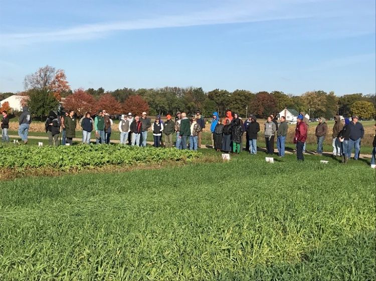 Participants tour cover crop research and demonstration plots during the Nov. 7, 2017, field day at Kellogg Biological Station.