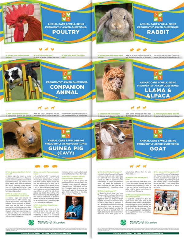 Images of 4H animal posters.
