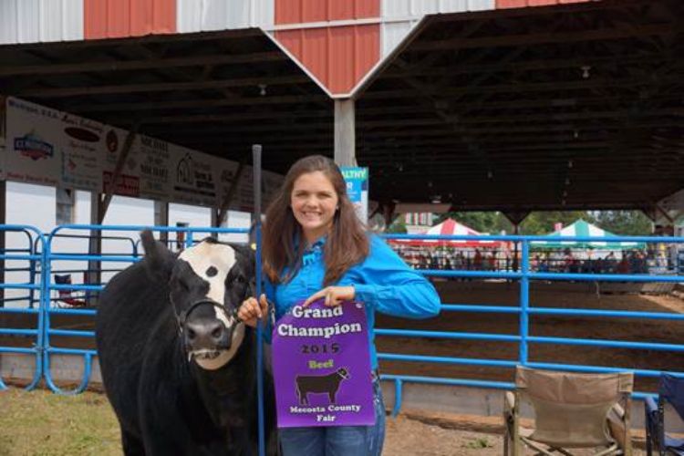 Rebecca Herzog with her Grand Champion Steer at the 2015 Mecosta County Fair