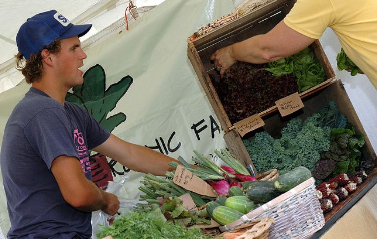 Students from the Student Organic Farm at MSU sell produce on Thursdays at the Auditorium