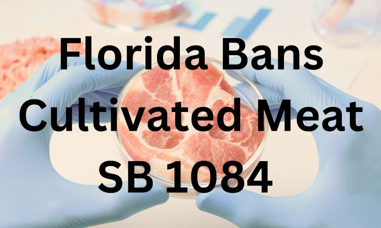 Photo of red meat in a Petri dish held by hands in blue medical gloves. Text reads Florida Bans Cultivated Meat SB 1084.