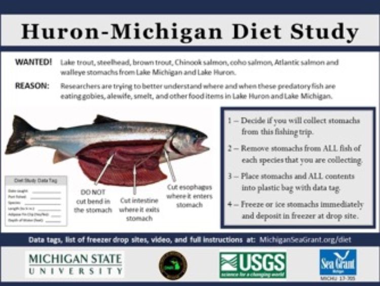 This Huron-Michigan Diet Study printable sign is available at http://www.miseagrant.umich.edu/wp-content/blogs.dir/1/files/2017/05/Diet-Sign-PDF.pdf