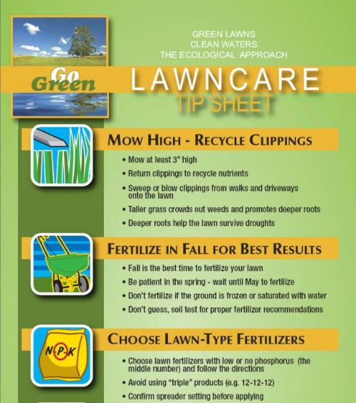 MSU Extension's Lawn Care Tip Sheet advises avoiding fertilization until May.