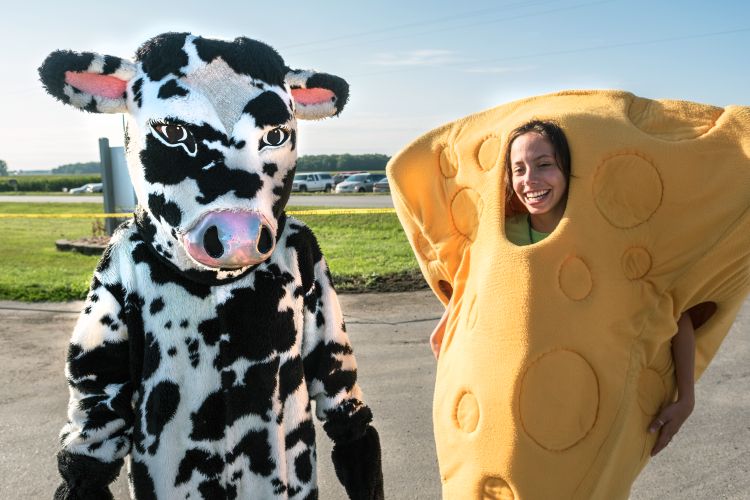 People dressed as a cow and a hunk of cheese.