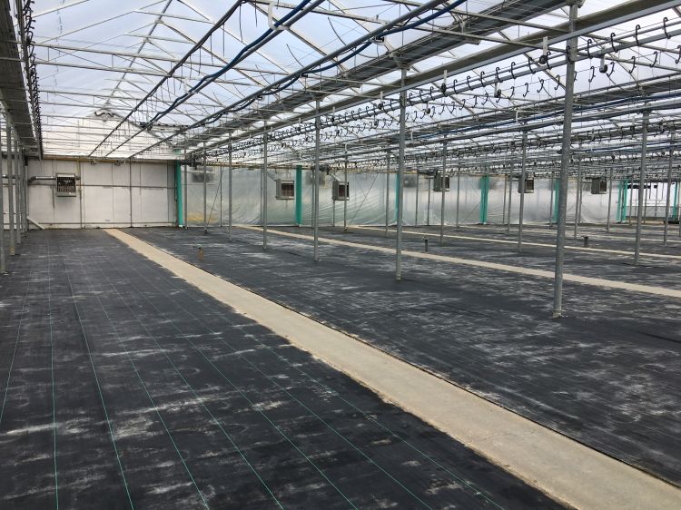 Empty greenhouse