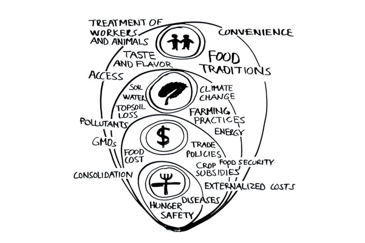 Examples of the SEED model of a food system.
