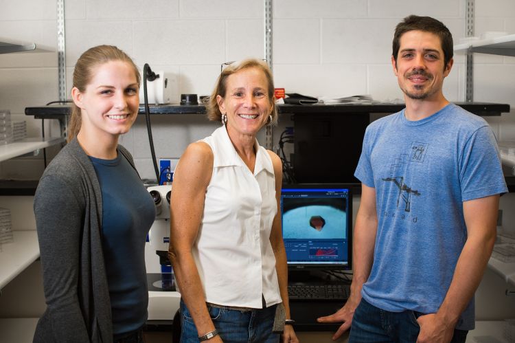 Emily Pawlowski, Cheryl Kerfeld and Ryan Leverenze in Kerfeld's lab.