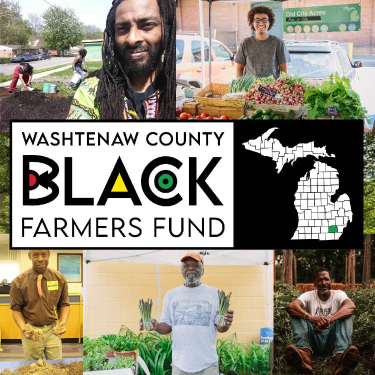 Pictures of various Black farmers from Michigan, along with the logo for the Washtenaw County Black Farmers Fund.