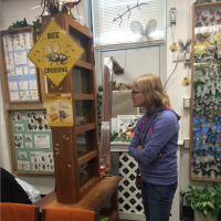 A person observing the live honeybee hive in the Bug House.