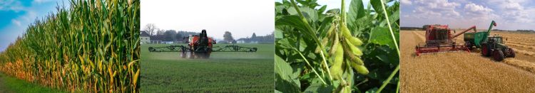 Collage of field crop photos.