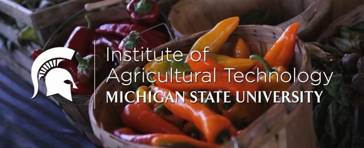 MSU's Institute of Agricultural Technology video highlighting Horticulture in this 2-year Fruit, Vegetable and Organic Horticulture Management certificate video