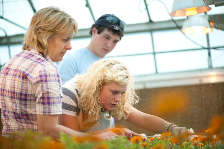 Mary Hausbeck examines flowers inside a greenhouse with her students.