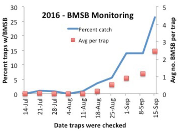Nymphs and summer generation adults are moving into orchards in southwest and fruit ridge regions. Line indicates percent traps that caught any BMSB in a given week overall; squares indicate average number of nymphs and adults captured each week.