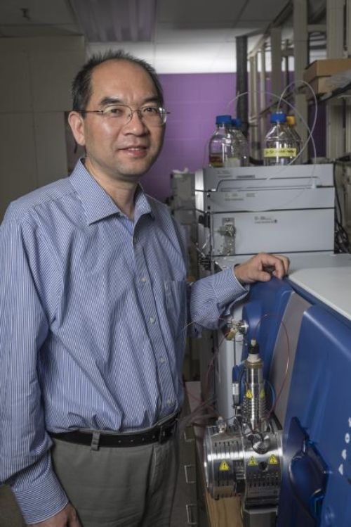 Hui Li, associate professor in the department of Plant, Soil and Microbial Sciences and recipient of the 2017 Jackson Soil Chemistry and Mineralogy Award.