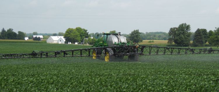 Foliar fungicide and insecticide applications in R3 soybeans