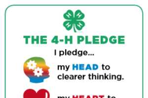 4 H Pledge Posters MSU Extension