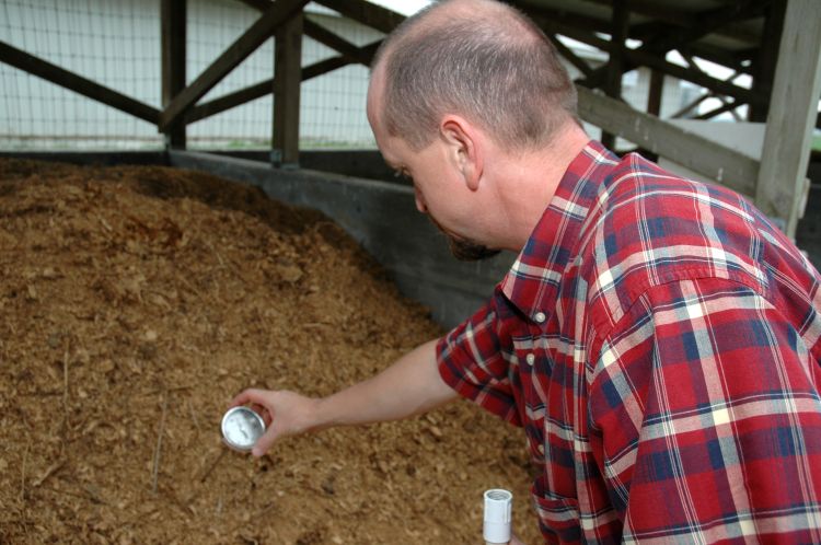 A man testing compost.