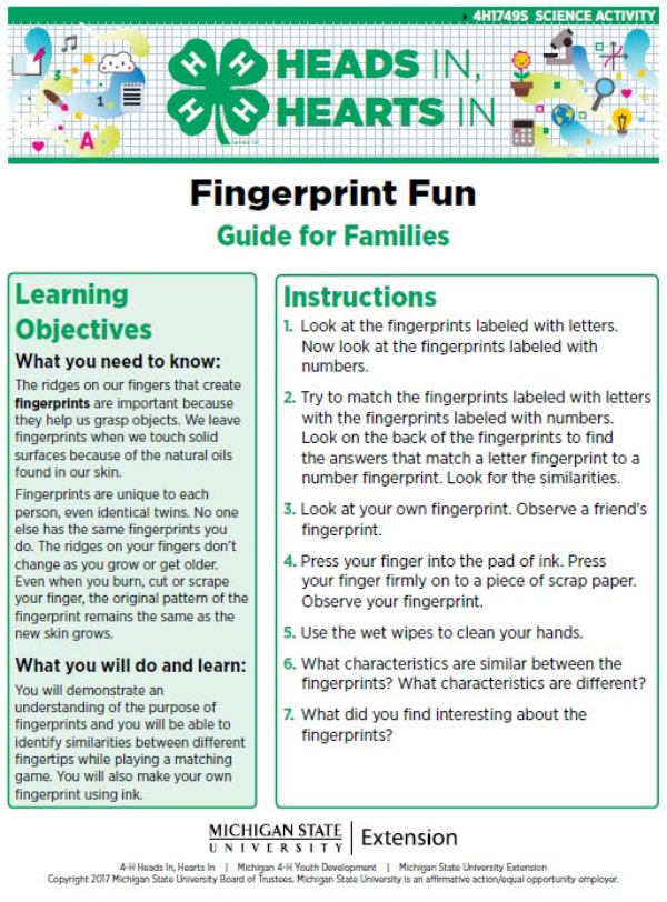 Fingerprint Fun cover page.