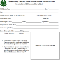 This is an image of the 4-H Horse & Pony Identification & Declaration form.