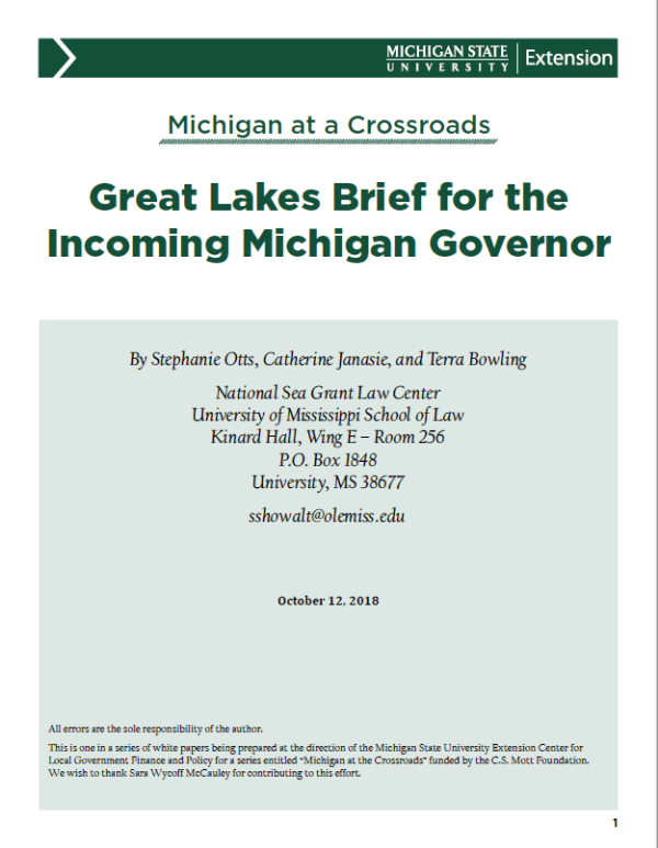 cover image of Great Lakes Brief for the Incoming Michigan Governor