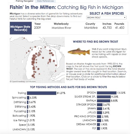 Fishin’ in the Mitten lets anglers access user-friendly maps and graphs that include 22 years of Master Angler Program entries from Michigan DNR.