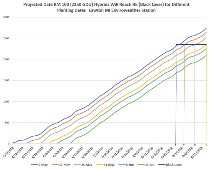 Corn Maturity Chart