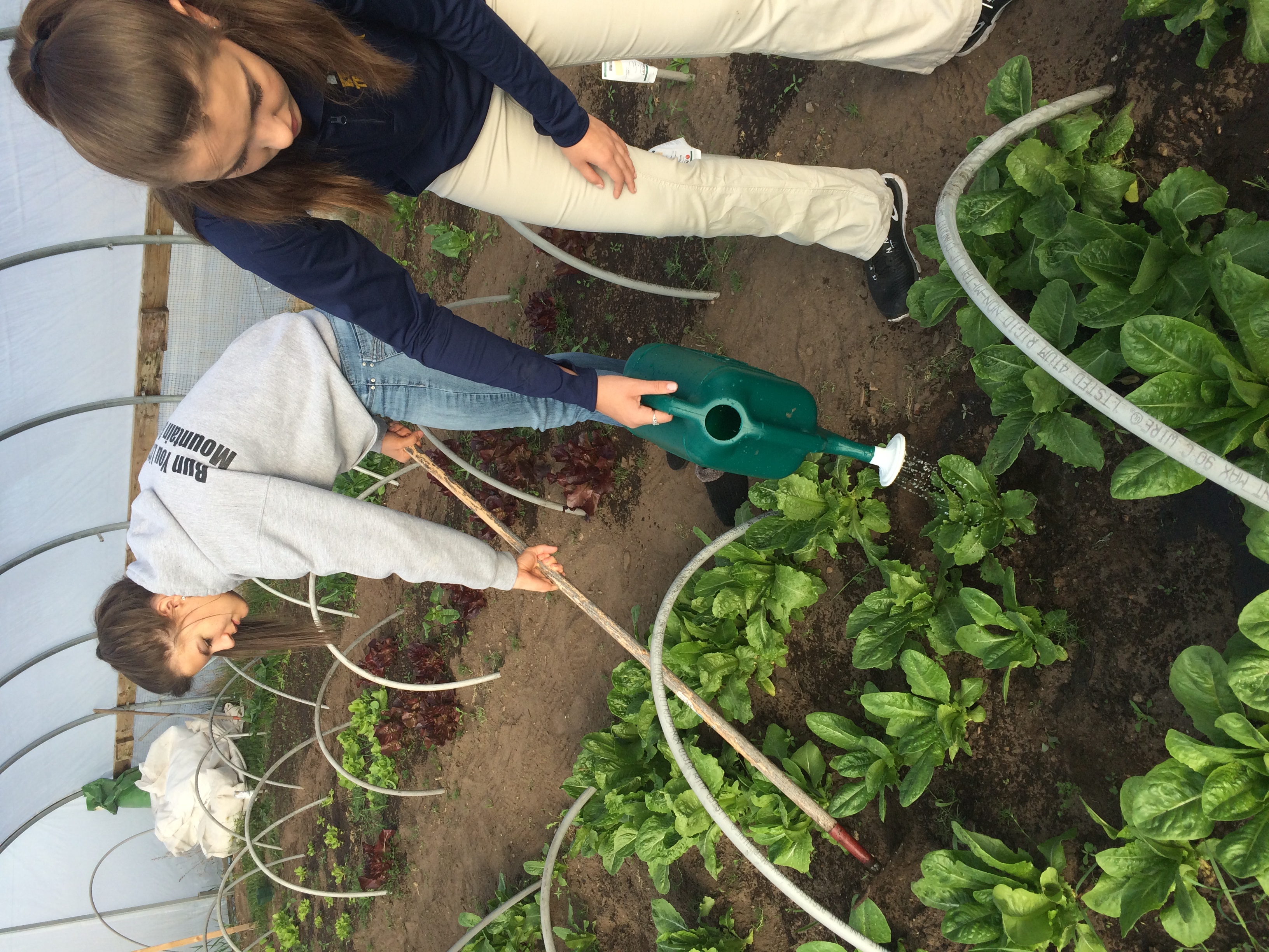 Two students care for plants in a hoop house.