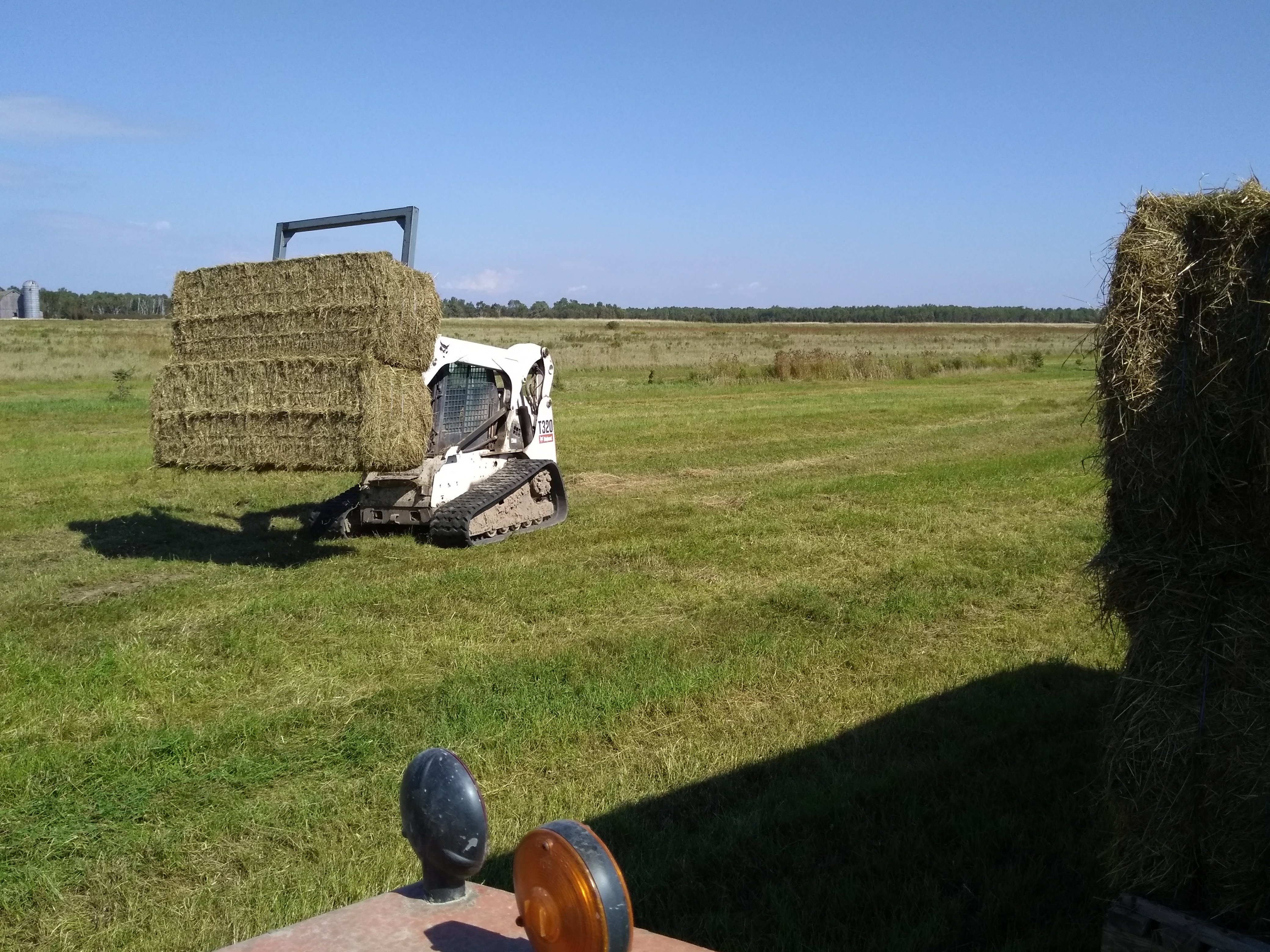skid steer moving large hay bales in a field