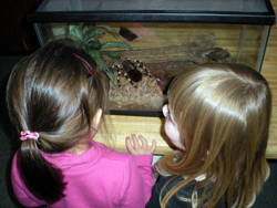 Girls looking at bugs