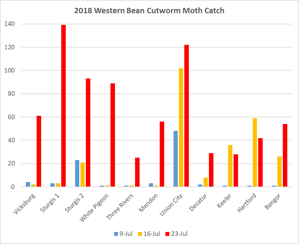 2018WBCmothcatch