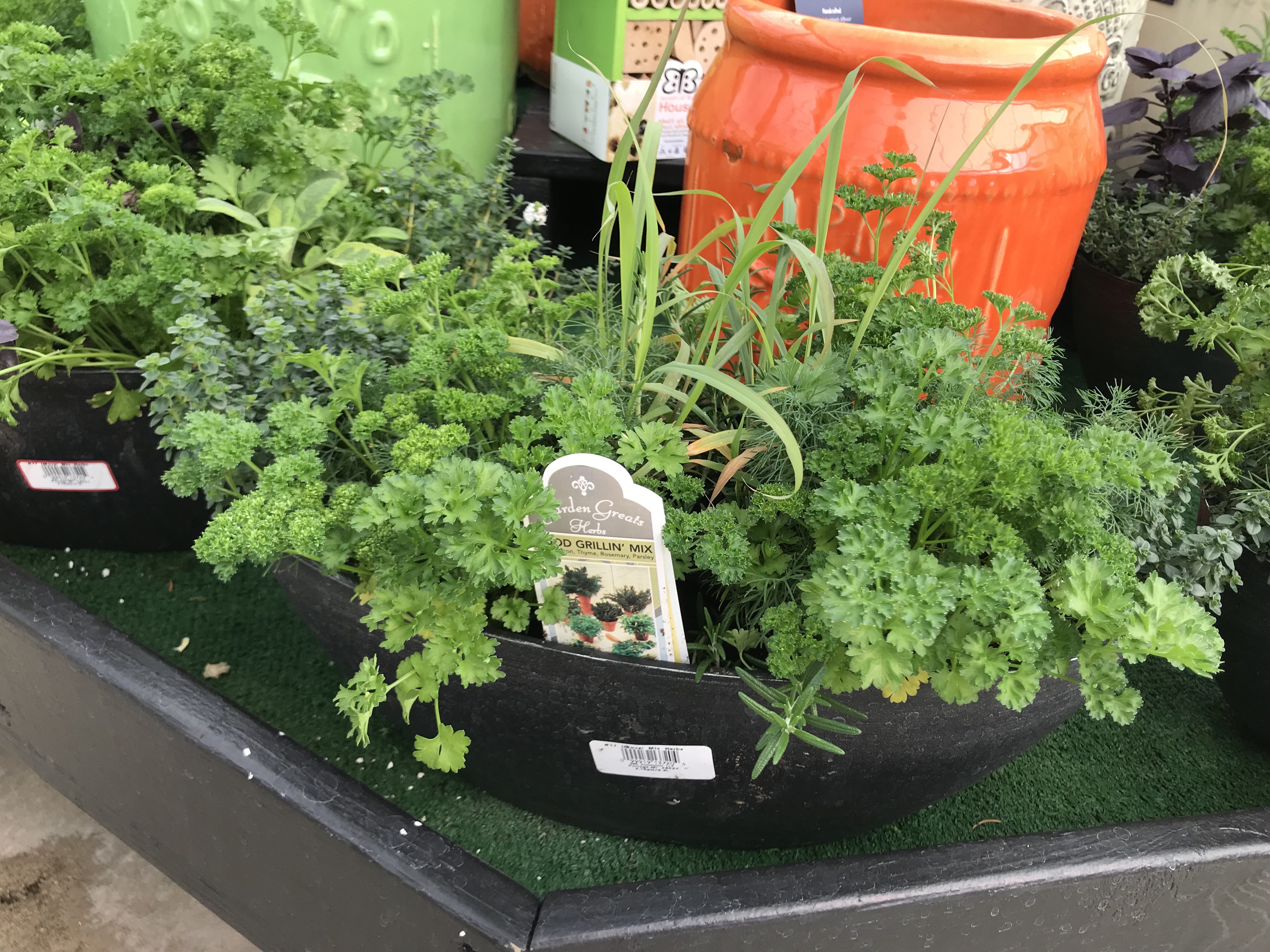 retail-ready package of herbs 