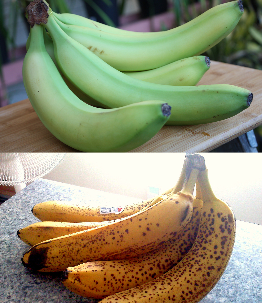 Ripe and unripe bananas