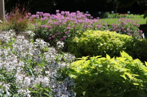 Picture of Gardens in Bloom