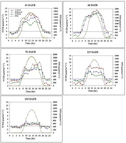 Daily NCER at 41, 66, 91, 127, and 155 DAFB.