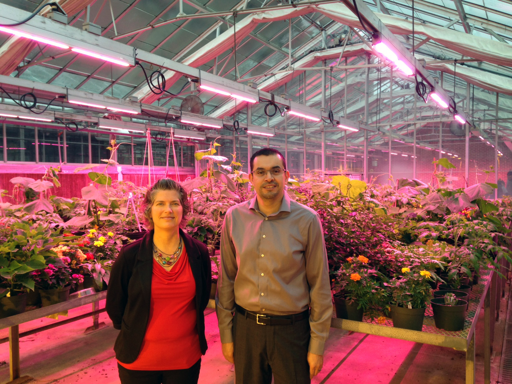 Department of Horticulture faculty members Kristin Getter and Roberto Lopez in one of the teaching greenhouses at MSU.